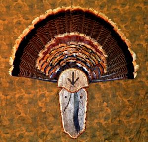 Bo Finley Turkey beard mount